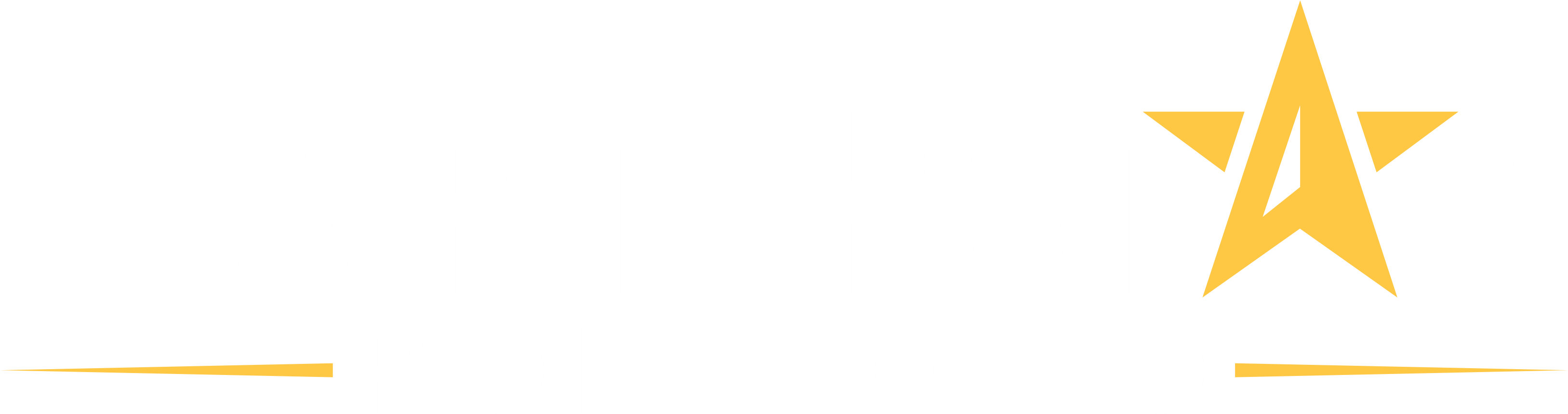 NorthStar Portfolio logo